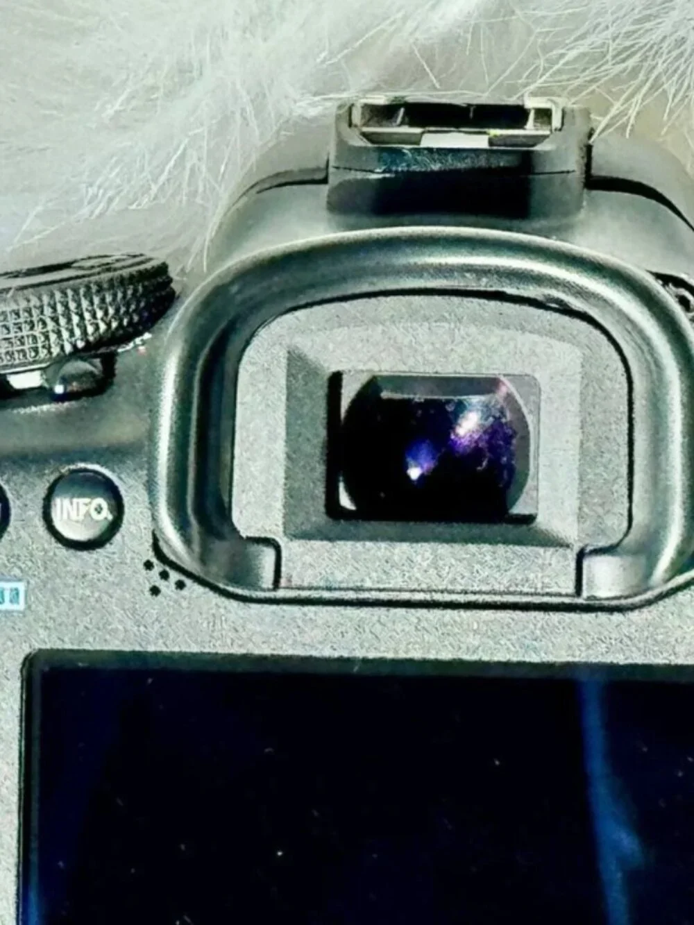 Canon very good